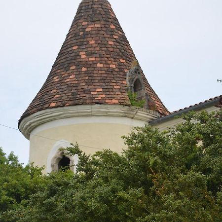 Chambres D'Hotes Du Chateau De Saint Sulpice La Sauvetat-sur-Lede Exterior photo