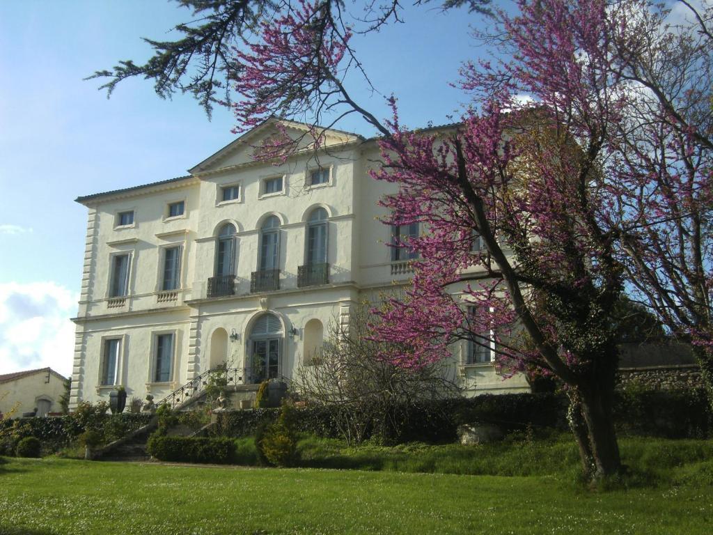 Chambres D'Hotes Du Chateau De Saint Sulpice La Sauvetat-sur-Lede Exterior photo